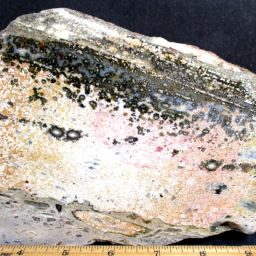 Sea Jasper Slab