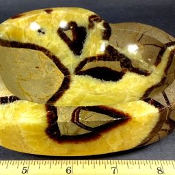 Septarian Bowl