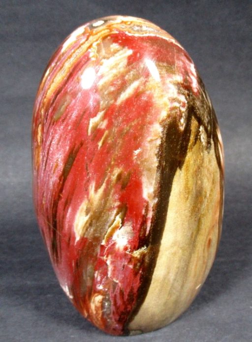 Petrified Wood Free Form