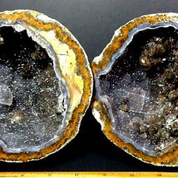 Las Choyas or Mexican Coconut Geode