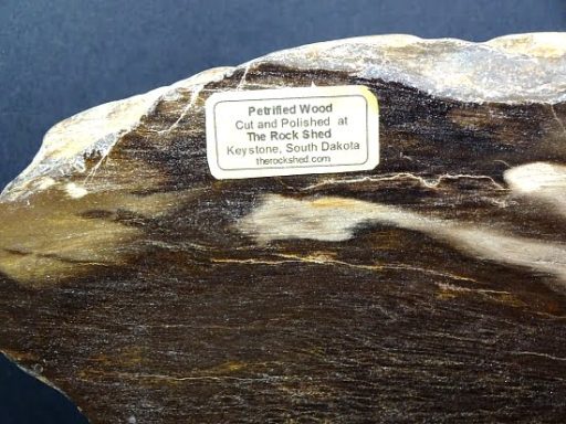 Petrified Wood from South Dakota