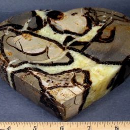 Septarian Bowl