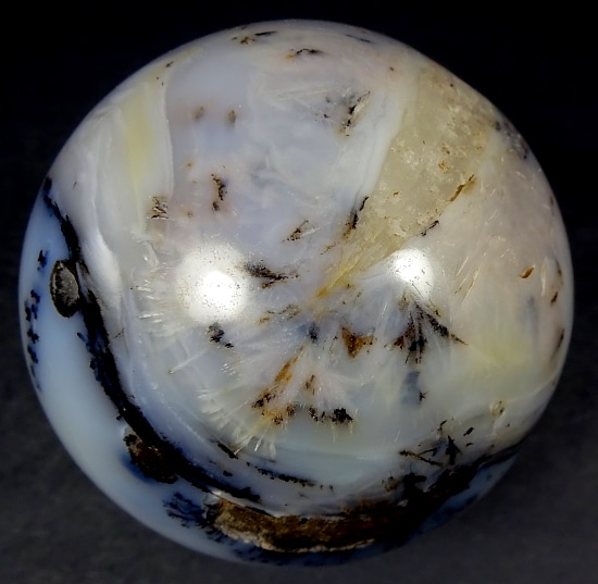 Sp125 Dendritic Opal - The Rock Shed