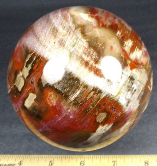 Petrified Wood