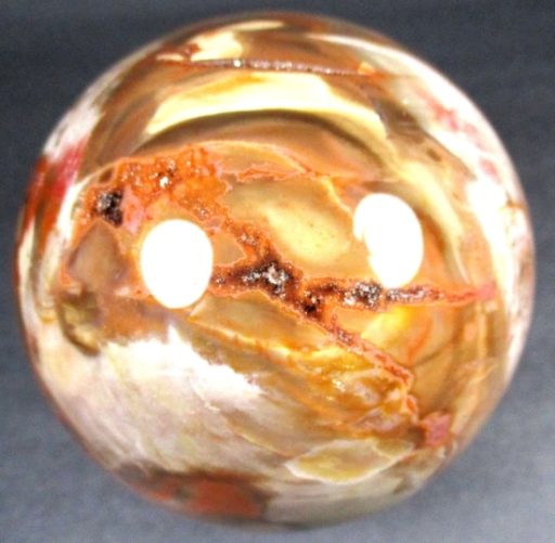 Petrified Wood