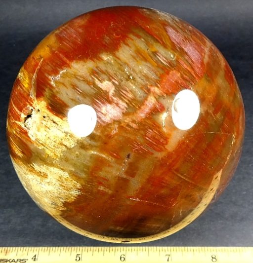 Petrified Wood