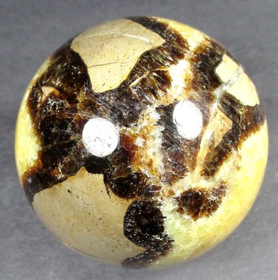 SP900 Septarian - The Rock Shed