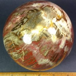 Petrified Wood sphere from Madagascar