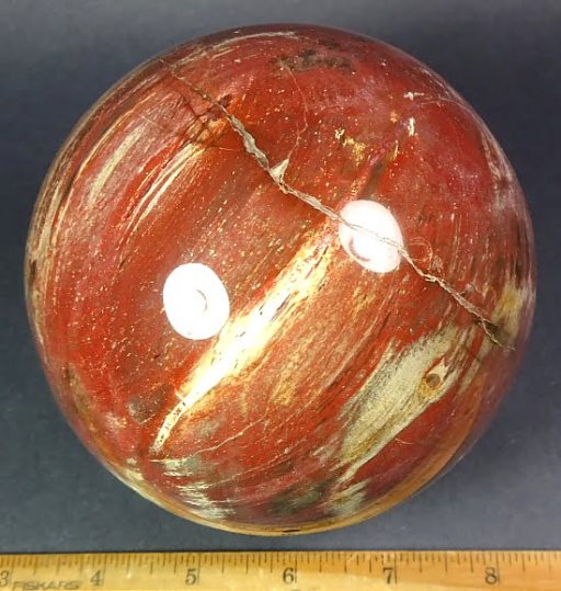 Petrified Wood sphere from Madagascar