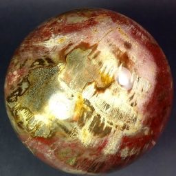 Petrified Wood sphere from Madagascar