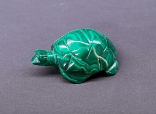 Malachite Turtle