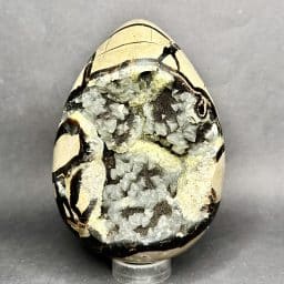 Septarian Egg