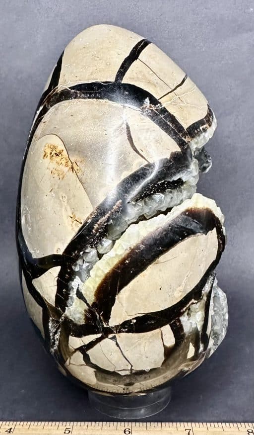 SEP107 Septarian Egg - Image 3