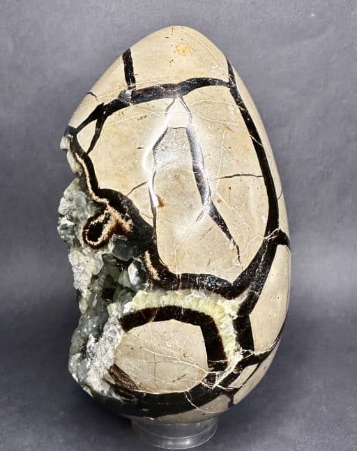 SEP107 Septarian Egg - Image 4