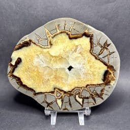 Septarian Slab