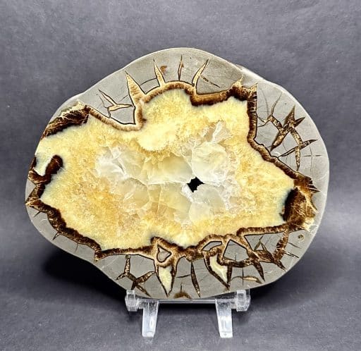 Septarian Slab