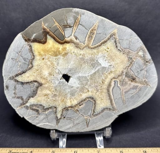 SEP312 Septarian Slab - Image 2