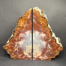 Petrified Wood Bookends