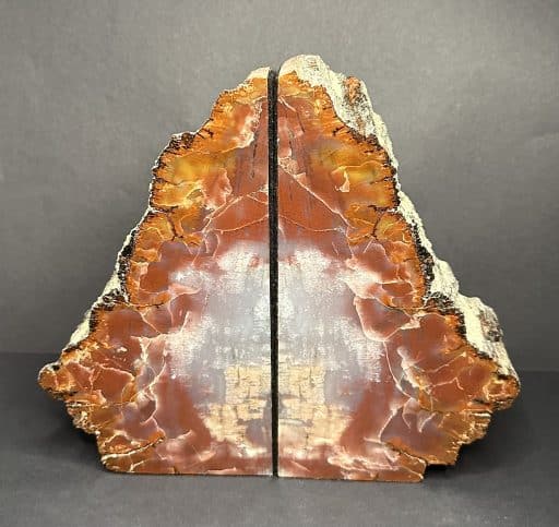 Petrified Wood Bookends