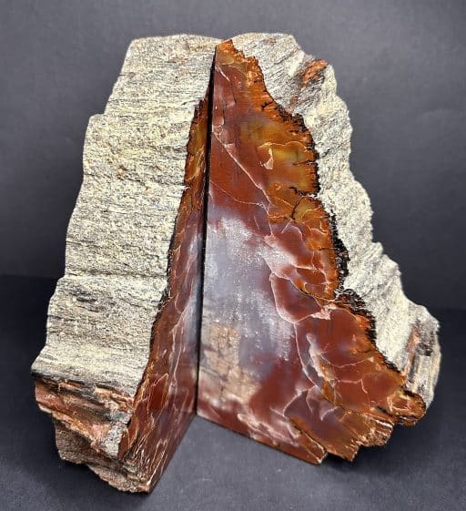 BK110 Petrified Wood Bookends - Image 3