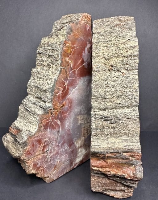 Petrified Wood Bookends