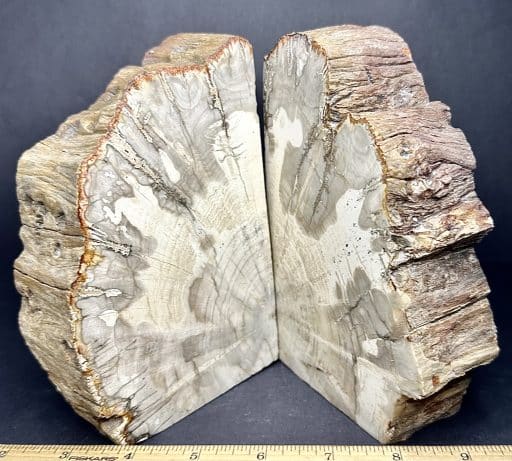 BK204 Madagascar Petrified Wood Bookends - Image 2