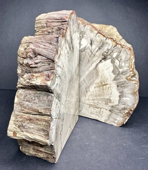 Madagascar Petrified Wood Bookends