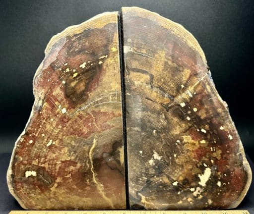 BK206 Petrified Wood Bookends - Image 4