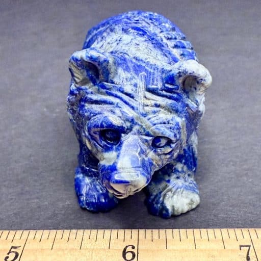 CV106 Lapis Bear - Image 2