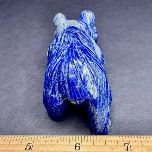 CV106 Lapis Bear - Image 4