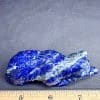 CV106 Lapis Bear - Image 5