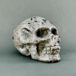 Yooperlite Skull