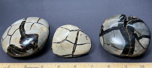 Septarian Free-form Set