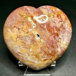 Petrified Wood