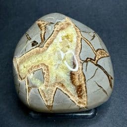 Septarian End
