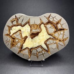 Septarian Slab