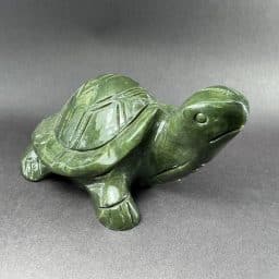 Serpentine Turtle