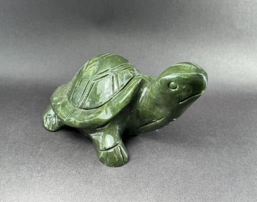 Serpentine Turtle