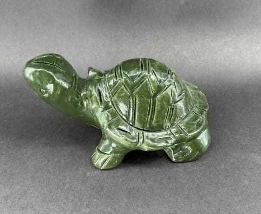 Serpentine Turtle