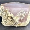 Nevada Pink Petrified Wood Limb