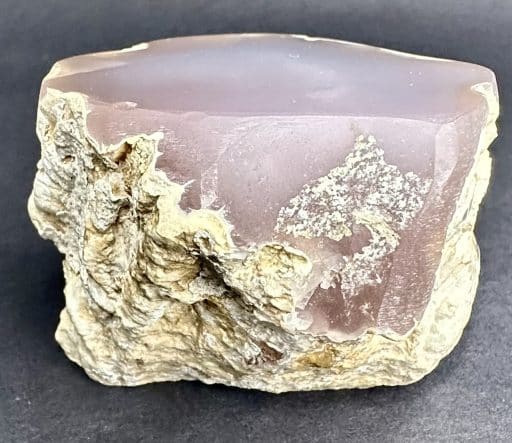 Nevada Pink Petrified Wood Limb