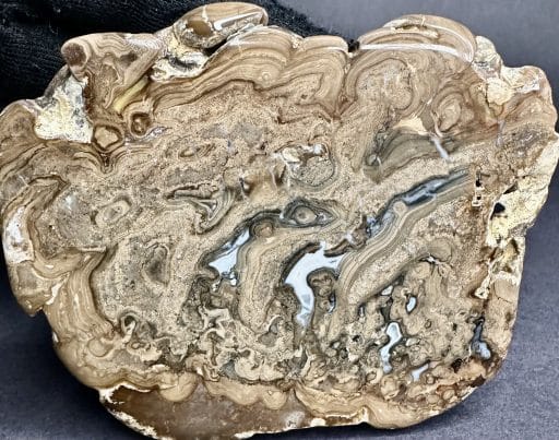 Stromatolite