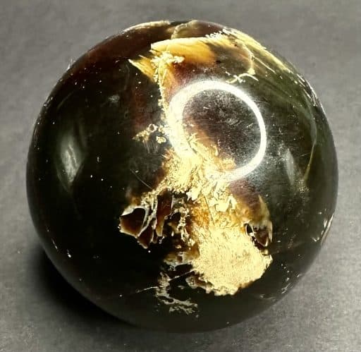 SP317 Amber - Image 3