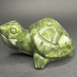 Serpentine Turtle