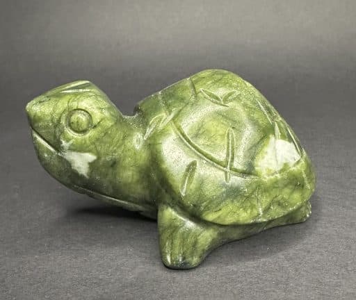 Serpentine Turtle