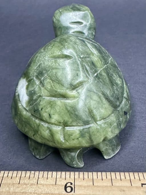 CV201 Serpentine Turtle - Image 3