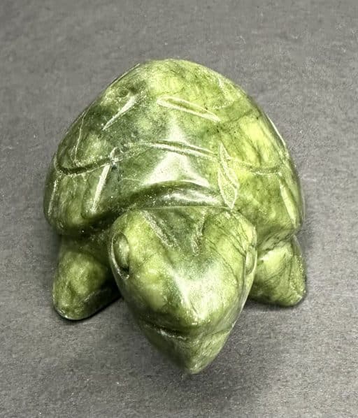 Serpentine Turtle