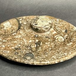 Fossil Rock Dish