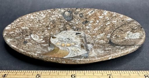 Fossil Rock Dish