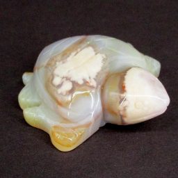 Flower Agate Turtle